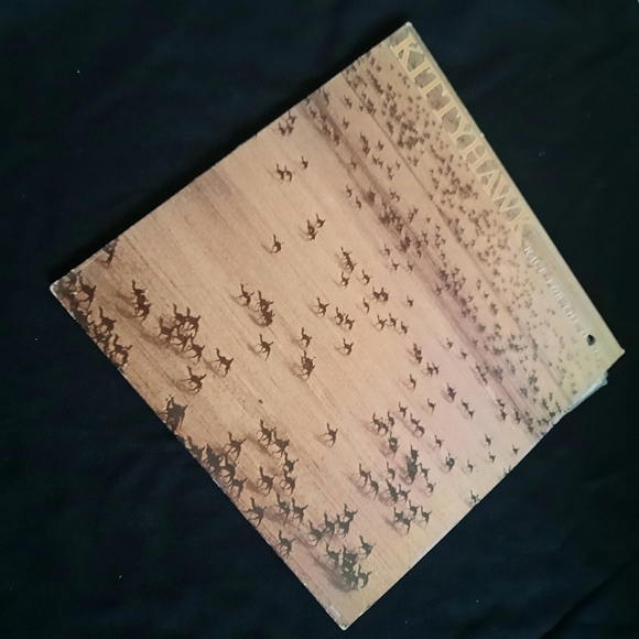 Kitty Hawk- Race For The Oasis Vinyl LP, 1981 - Picture 9 of 9